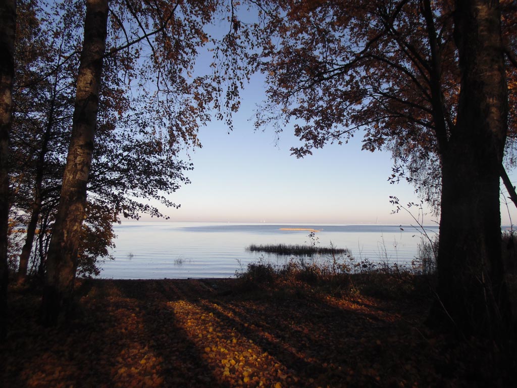 Парк фермы принца Ольденбургского. Берег Финского залива, 15 октября 2018 г. Фото: photoprogulki.narod.ru