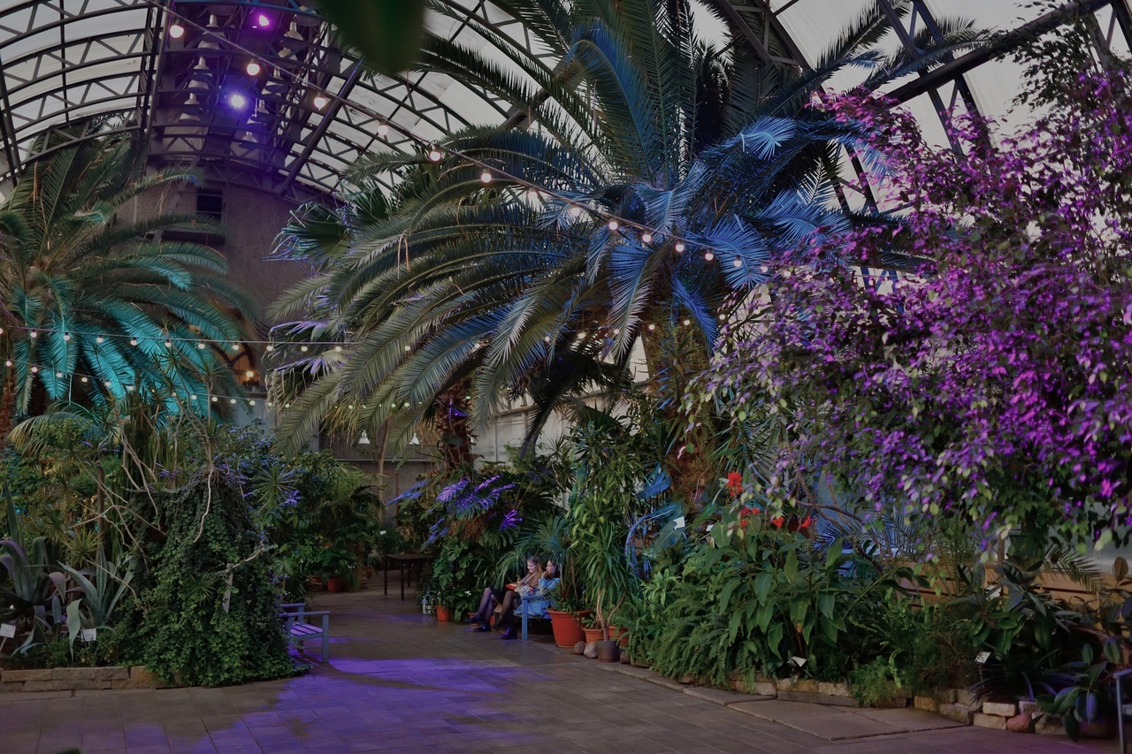 Таврический сад СПБ оранжерея