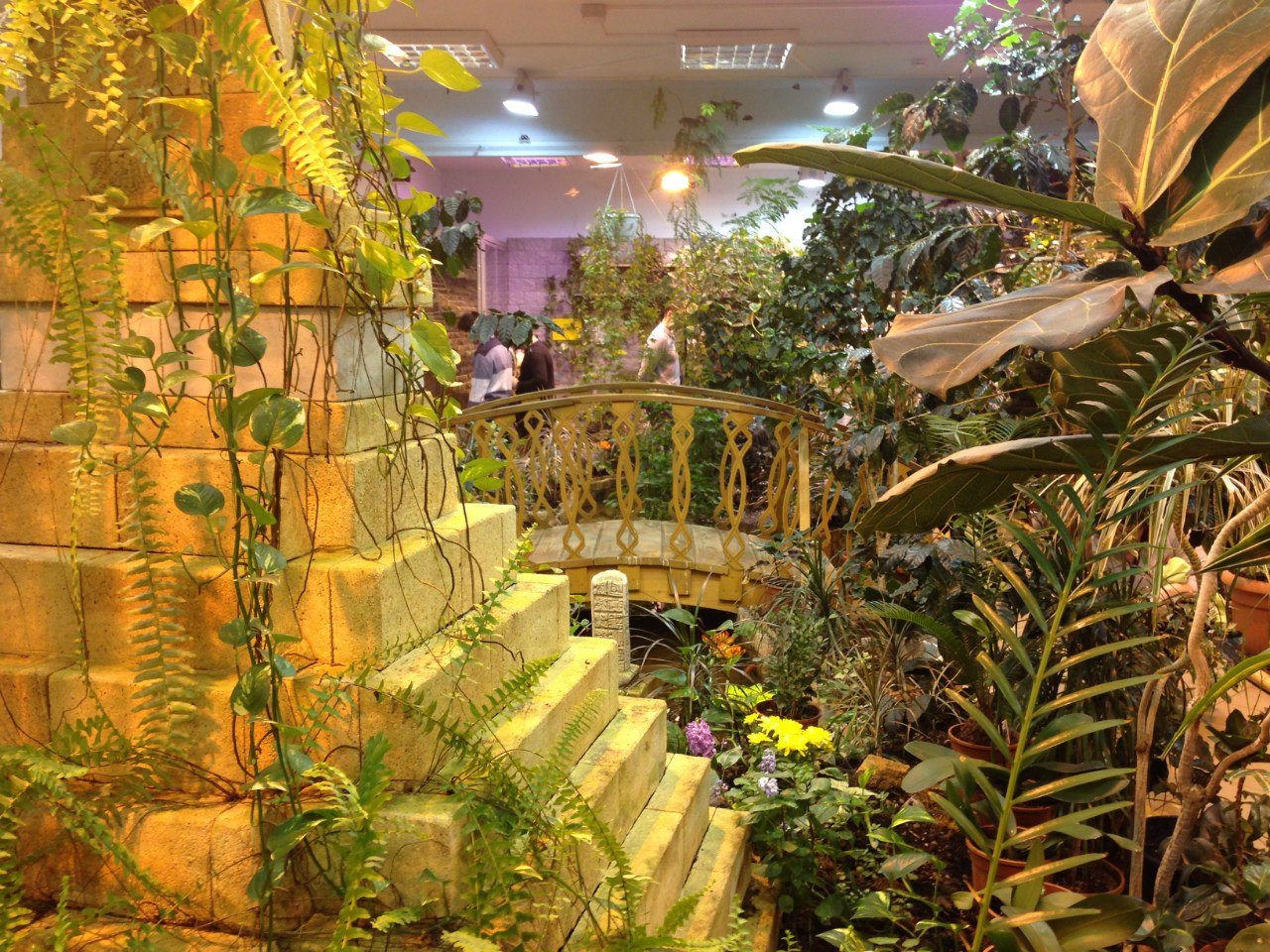 Музей тропических бабочек «Миндо»