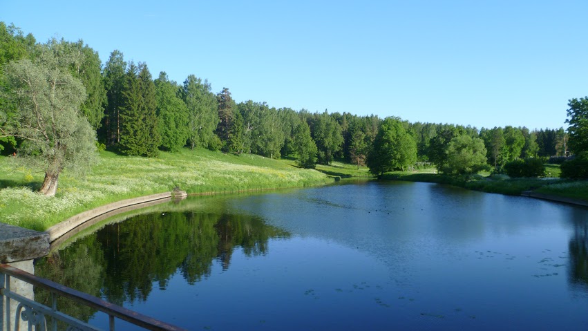 Озеро павловское в бокситогорске