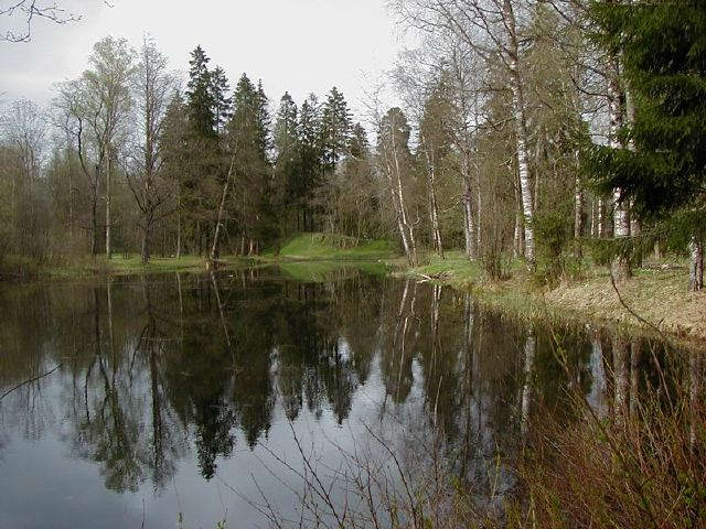 Пруд. Усадьба Волковицы, Ломоносовский район Ленинградской области. Фото: tm-ivanova.narod.ru