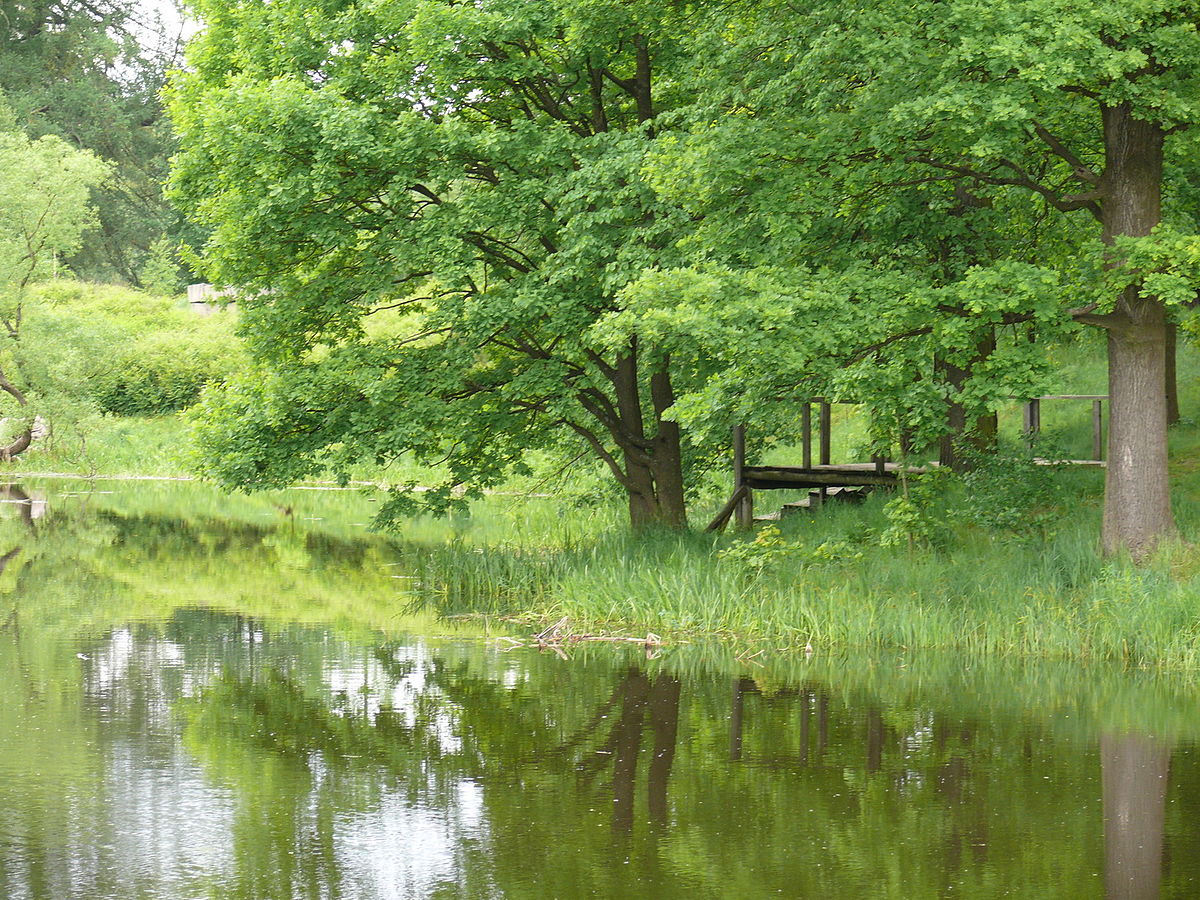 Деревянный причал в Приютино, источник фото: Wikimedia Commons Автор: Владимир Синьков