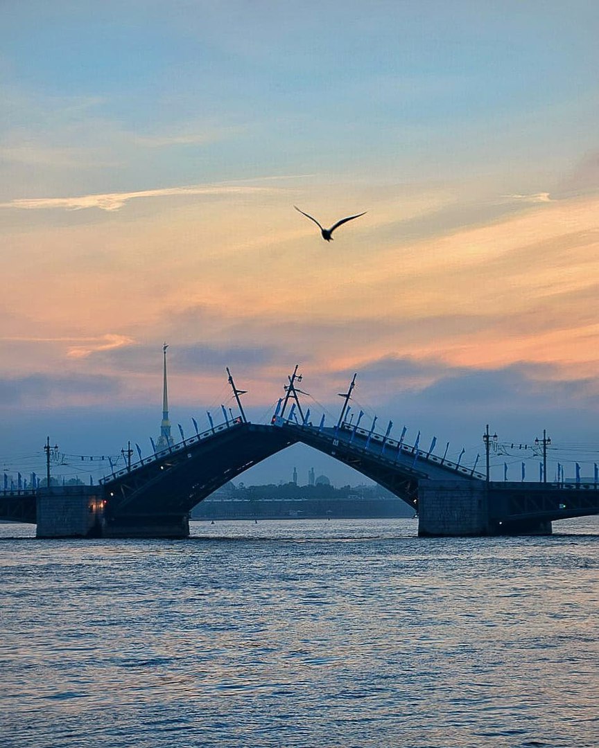 Дворцовый мост сводят поутру. Фото: vk.com/gorod_na_neve