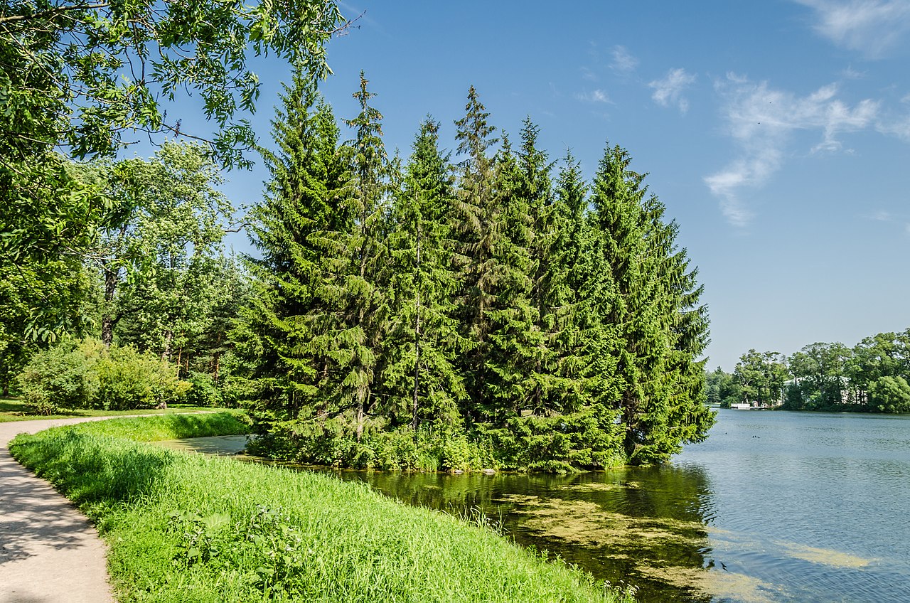 Большой пруд и пустой остров в Екатерининском парке Царского села. Автор фото: Florstein (WikiPhotoSpace)