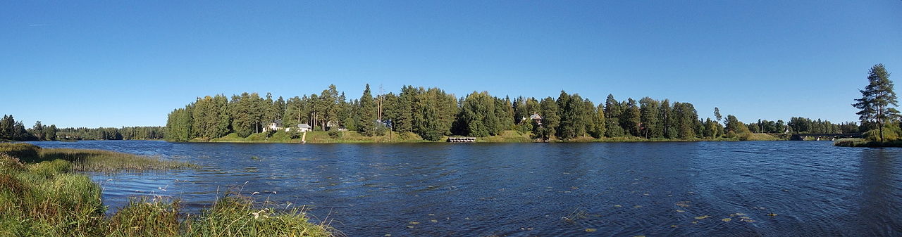 Панорама Вырицкого водохранилища на реке Оредеж. Фото: Uz1awa (Wikimedia Commons)