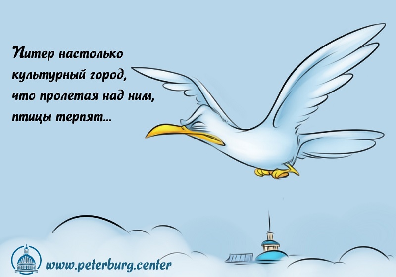 Птица завтрашнего дня. Анекдоты про птиц. Смешные цитаты про птиц. Цитаты про птиц. Афоризмы про птиц.