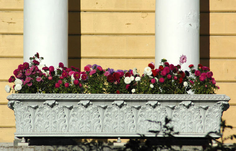 "Павильон роз", Павловск. Автор: Mary, 2009.г. Фото: citywalls.ru