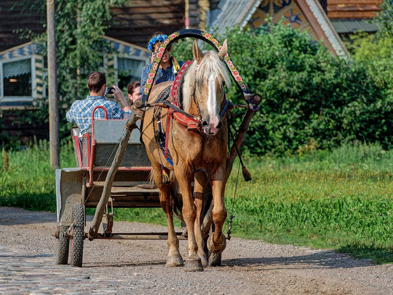 Верхние Мандроги. Фото: Alexxx Malev from Taganrog, Russia