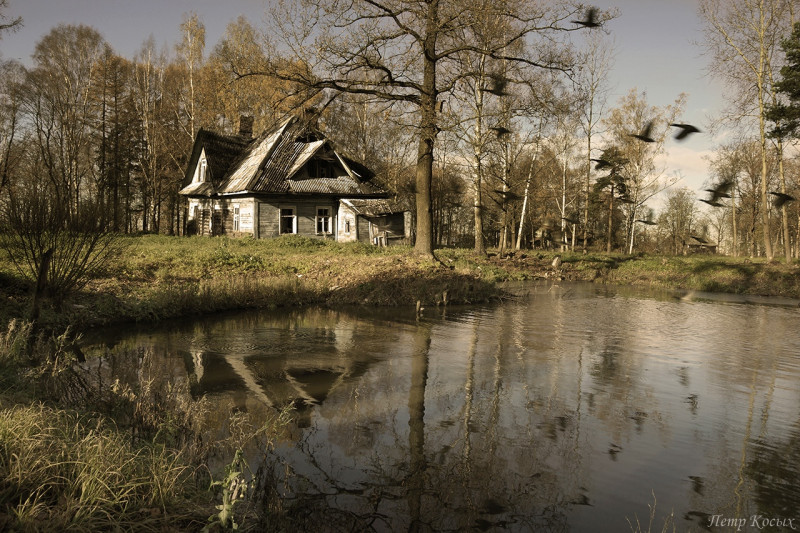 Фото домика лесника. Автор: Петр Косых