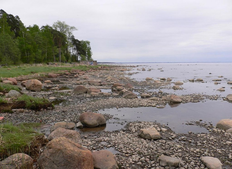 какое море в питере название фото на карте