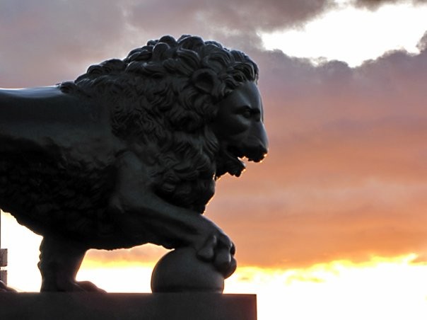Лев на набережной Невы. Автор фото: Ольга Тихомирова