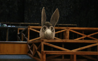 Автор: Татьяна Дрëмова Источник: Архив