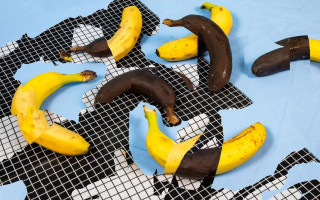 Автор: Каати Пуолакайнен Источник: РОСФОТО