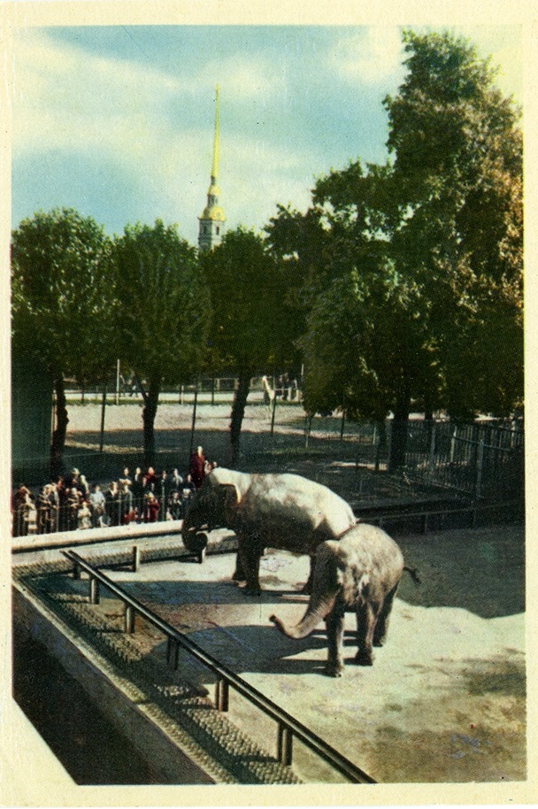 Ленинградский зоопарк, ХХ в. Источник фото: spbzoo.ru